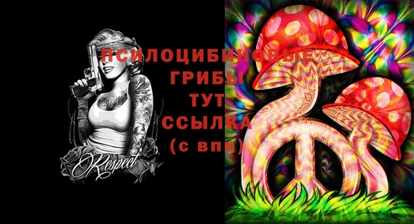 героин Абаза