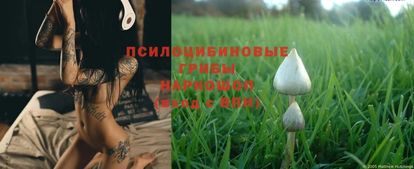 дурь Абинск
