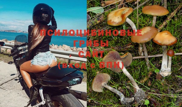 дурь Абинск